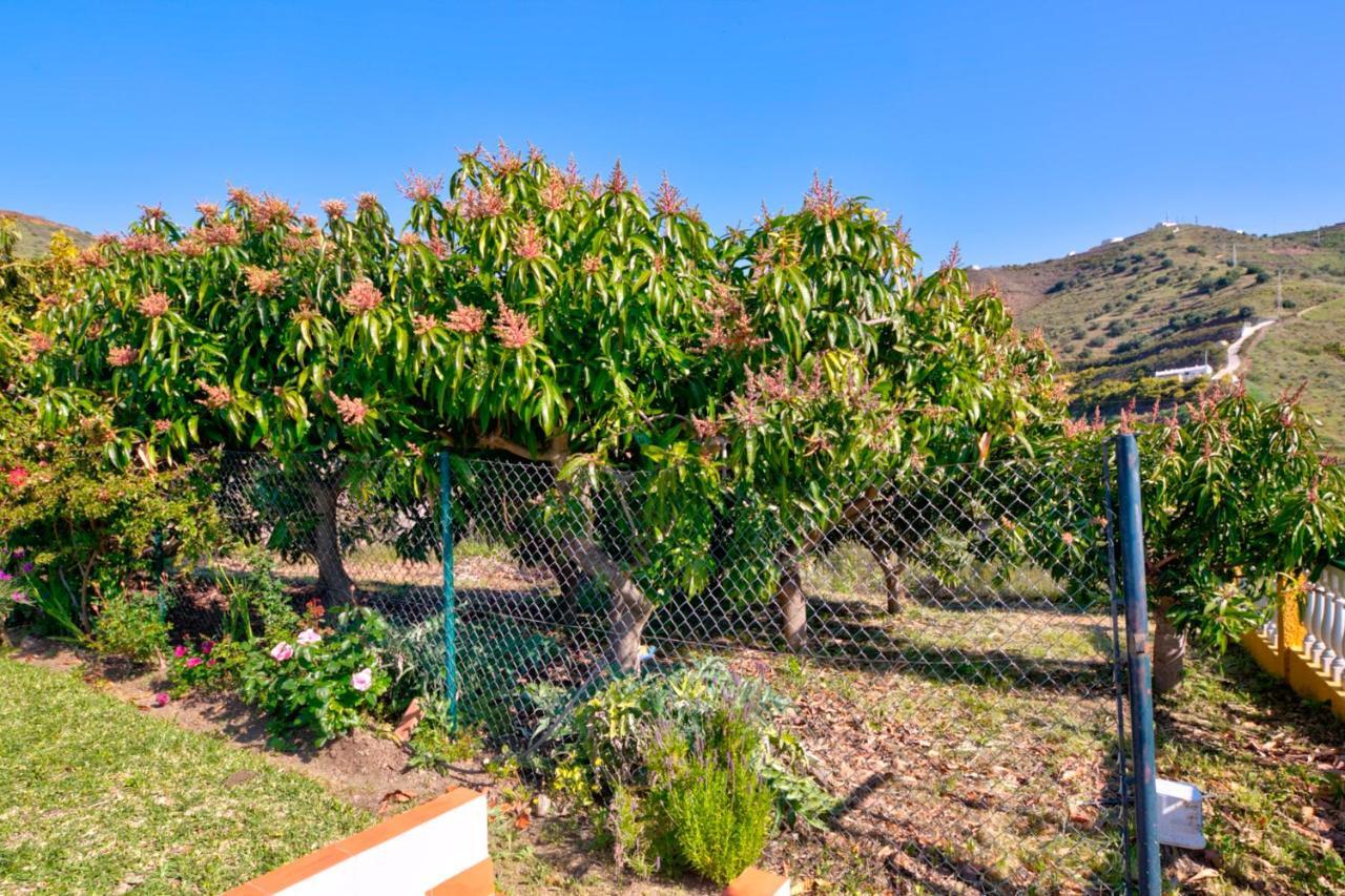 Villa Grillo Torrox Exterior photo